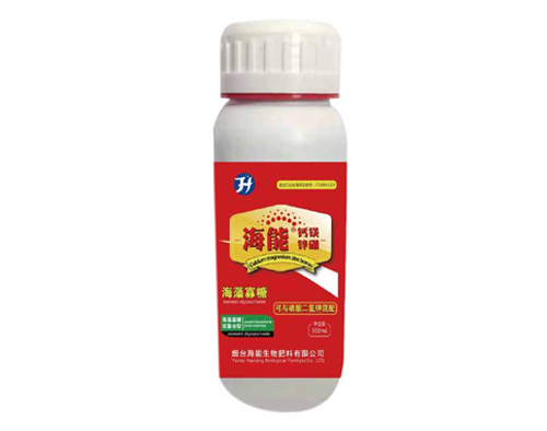 威海黄瓜软件下载钙镁锌硼