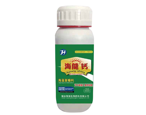 威海黄瓜软件下载钙