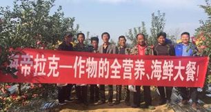 苹果树12月管理技术要点！抓紧时间看