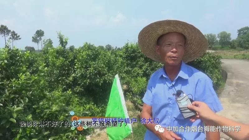 颗粒水溶肥