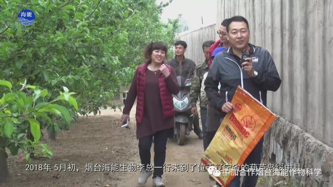 颗粒水溶肥