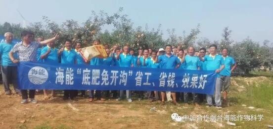 黄瓜软件下载底肥免开沟 用效果说话！