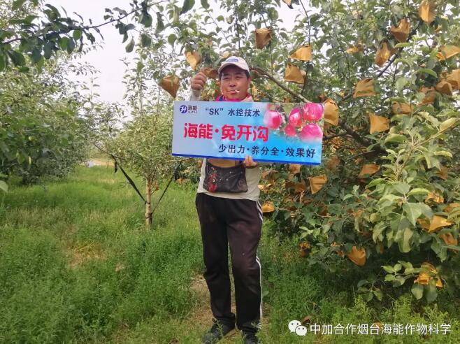 黄瓜软件下载底肥免开沟 用效果说话！