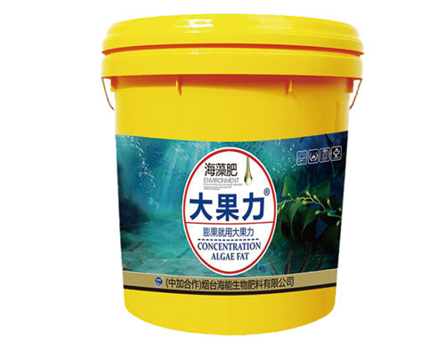 黄瓜软件下载出口品质，专注服务农业 