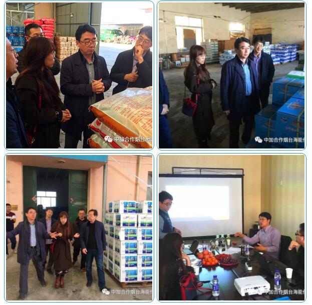 黄瓜软件下载出口品质，专注服务农业 