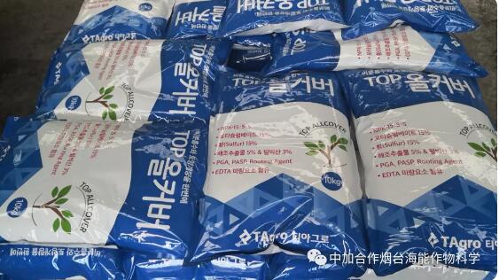 黄瓜软件下载出口品质，专注服务农业 
