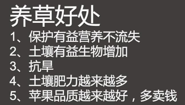 【实地探访】-----山东莱阳高品质果园管理细节及“免开沟”水肥一体化运用 【实地探访】-----山东莱阳高品质果园管理细节及“免开沟”水肥一体化运用