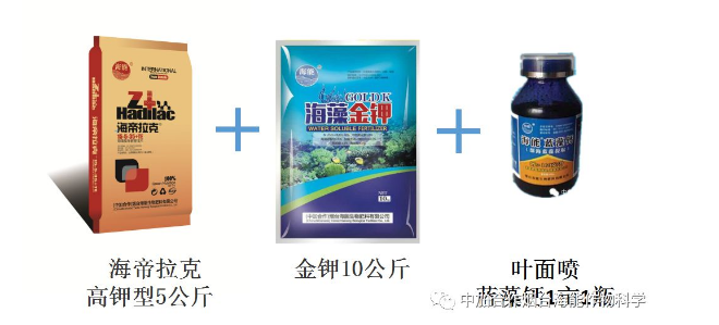 黄瓜软件下载生物高品质葡萄全程“傻瓜式”施肥方案