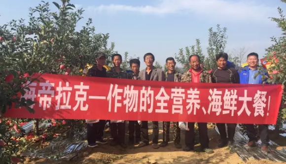 苹果树12月管理技术要点！抓紧时间看