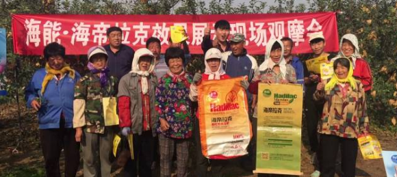 苹果树12月管理技术要点！抓紧时间看