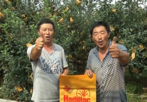 持续大旱突遇大雨侵袭果园 海帝拉克如何扭转乾坤 持续大旱突遇大雨侵袭果园 海帝拉克如何扭转乾坤