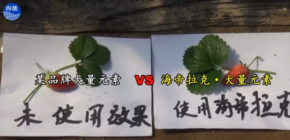 水肥一体化不止是节水、节肥！还有这功效！