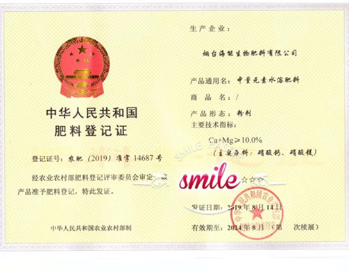 付出终会有回报，功夫不负有心人