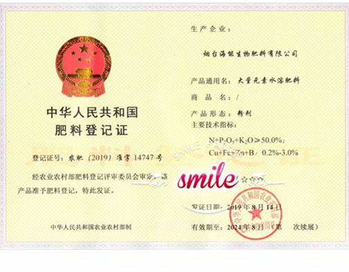 付出终会有回报，功夫不负有心人