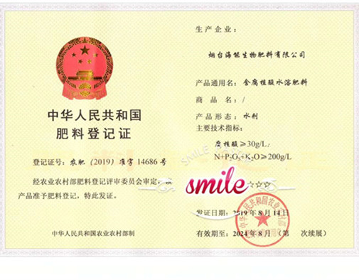 付出终会有回报，功夫不负有心人