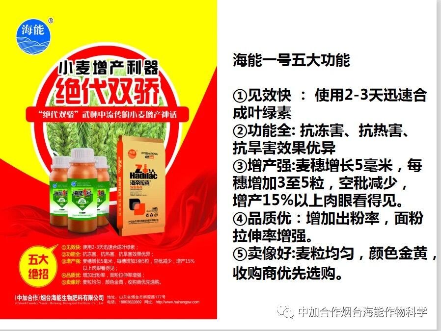 抗寒利器，黄瓜软件下载1号