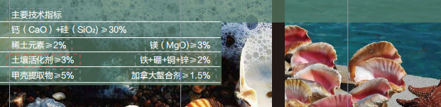 黄瓜软件下载甲壳素活性中微量黄瓜成人网站